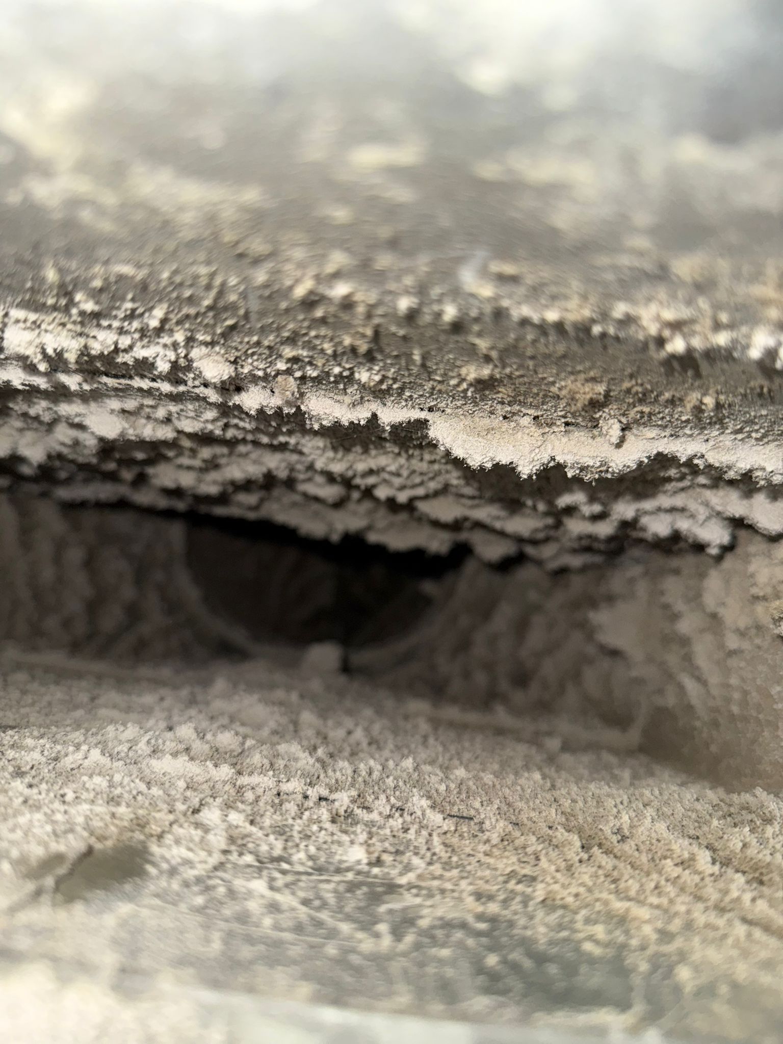 dryer vent cleaning